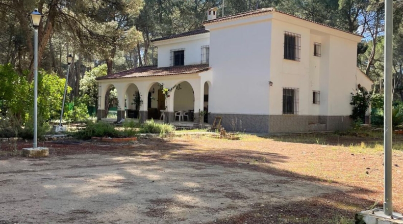 Albacete - Альбасете - 10000m2