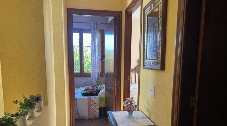 Castellón - Benicasim - 500m2