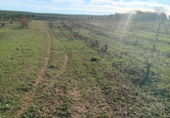 Non-developable land for sale in Villafranca de los Barros ref: TR387287 photo