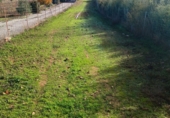 Non-developable land for sale in Villafranca de los Barros ref: TR387287 photo