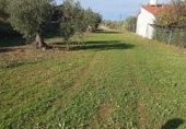 Non-developable land for sale in Villafranca de los Barros ref: TR387287 photo