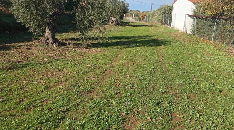 Badajoz - Villafranca de los Barros - 22500m2