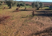 Non-developable land for sale in Villafranca de los Barros ref: TR387287 photo
