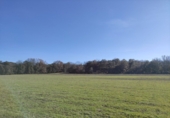 Rural estate for sale in Aínsa ref: TR387167 photo