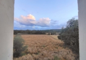Rural estate for sale in Aínsa ref: TR387167 photo