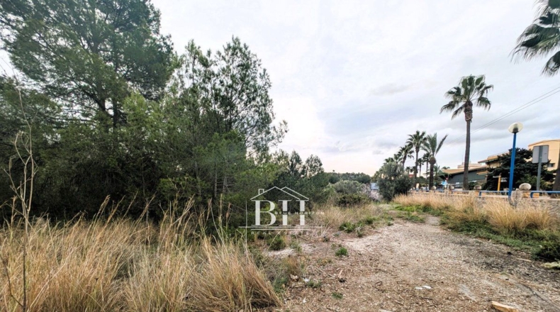 Alicante - Polop - 1210m2