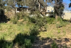Tordera 870&nbsp;m² 