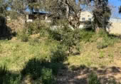 Parcela urbanizable en venta en la Urbanització Àgora Park, Tordera, ref: TR387632 foto