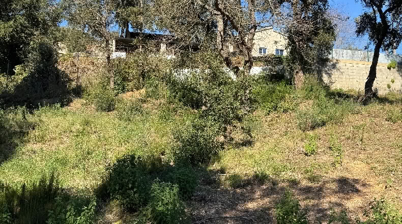 Barcelona - Tordera - 870m2