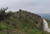 Terreno no urbanizable en venta en la Lagar mesoneros, Almogía, ref: TR387663 foto