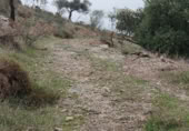 Terreno no urbanizable en venta en la Lagar mesoneros, Almogía, ref: TR387663 foto