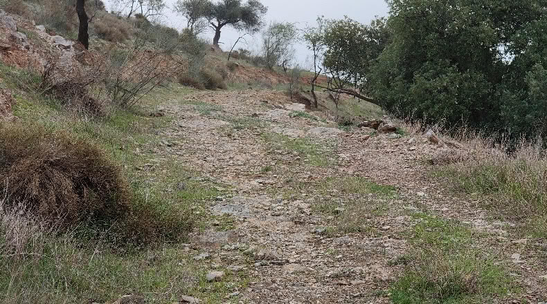 Малага - Almogía - 26000m2
