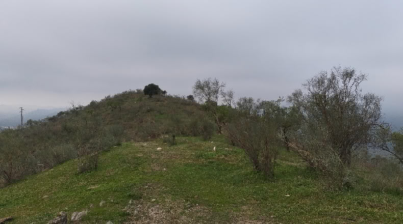 Малага - Almogía - 26000m2