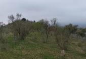 Terreno no urbanizable en venta en la Lagar mesoneros, Almogía, ref: TR387663 foto