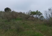 Terreno no urbanizable en venta en la Lagar mesoneros, Almogía, ref: TR387663 foto