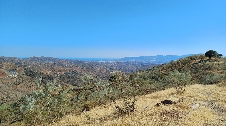 Малага - Almogía - 26000m2
