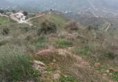Terreno no urbanizable en venta en la Lagar mesoneros, Almogía, ref: TR387663 foto