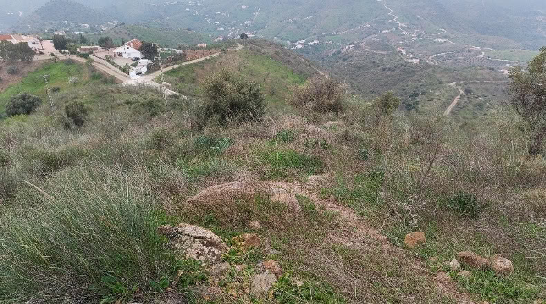 Малага - Almogía - 26000m2