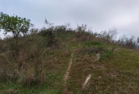 Foto 18