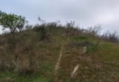 Terreno no urbanizable en venta en la Lagar mesoneros, Almogía, ref: TR387663 foto