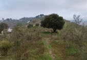 Terreno no urbanizable en venta en la Lagar mesoneros, Almogía, ref: TR387663 foto