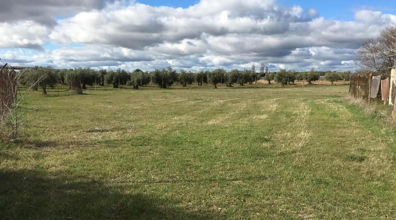 Сьюдад-Реаль - Аргамасилья-де-Калатрава - 14000m2