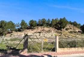 Molina de Segura 1410&nbsp;m² 