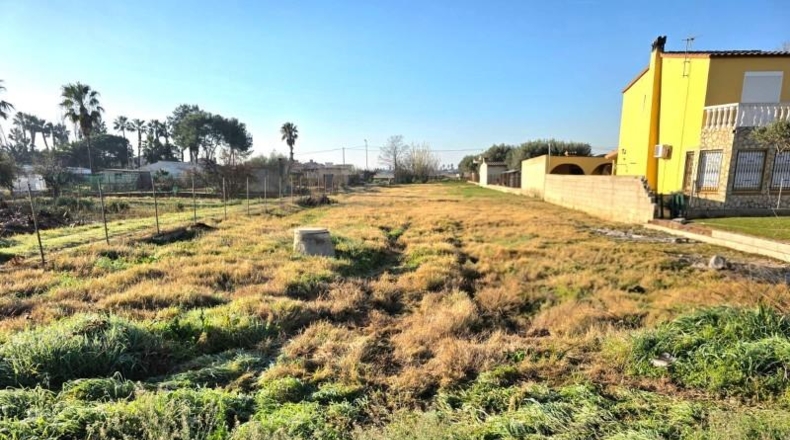 Castellon - Кастельон-де-ла-Плана - 1854m2