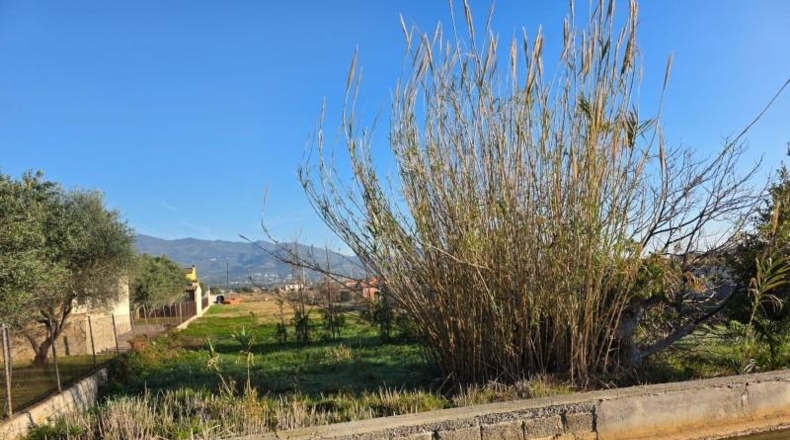 Castellon - Кастельон-де-ла-Плана - 1854m2