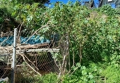 Sòl urbà en venda a la España, Benamocarra, ref.: TR387514 foto