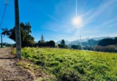 Land suitable for development for sale on España, Ciudad Residencial Perlora, ref: TR387443 photo