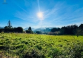 Land suitable for development for sale on España, Ciudad Residencial Perlora, ref: TR387443 photo