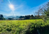 Land suitable for development for sale on España, Ciudad Residencial Perlora, ref: TR387443 photo