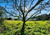 Land suitable for development for sale on España, Ciudad Residencial Perlora, ref: TR387443 photo