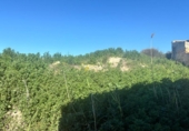 Chalet independiente con terreno en venta en la España, Molina de Segura, ref: TR400095 foto