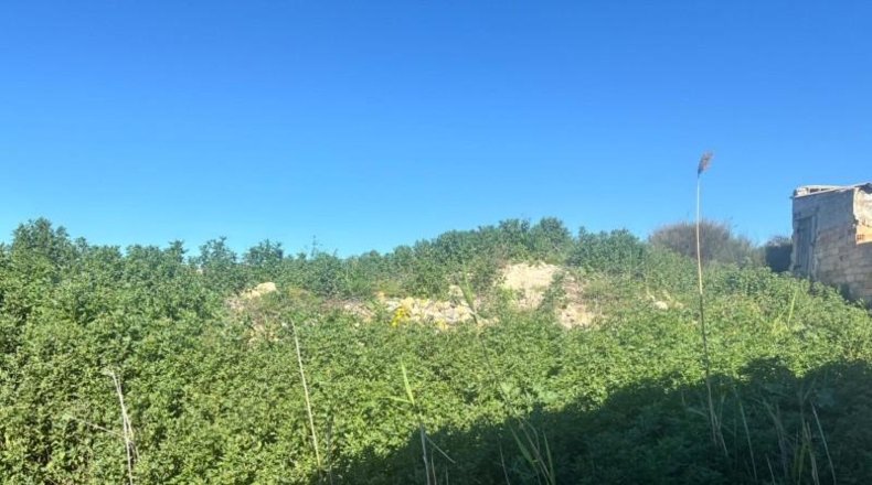 Murcia - Molina de Segura - 670m2