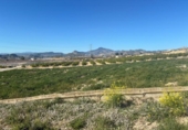 Chalet independiente con terreno en venta en la España, Molina de Segura, ref: TR400095 foto