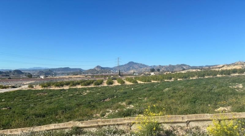 Murcia - Molina de Segura - 670m2