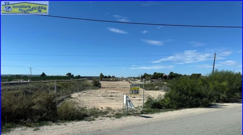 Murcia - Fortuna - 12826m2