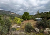 Parcel·la urbanitzable en venda a la España, Robledo de Chavela, ref.: TR387682 foto