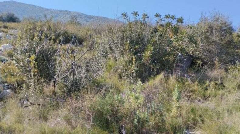 Zamora - Fuentes de Ropel - 15581m2