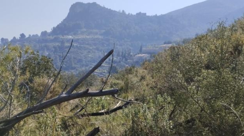 Zamora - Fuentes de Ropel - 15581m2