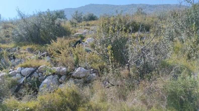 Zamora - Fuentes de Ropel - 15581m2