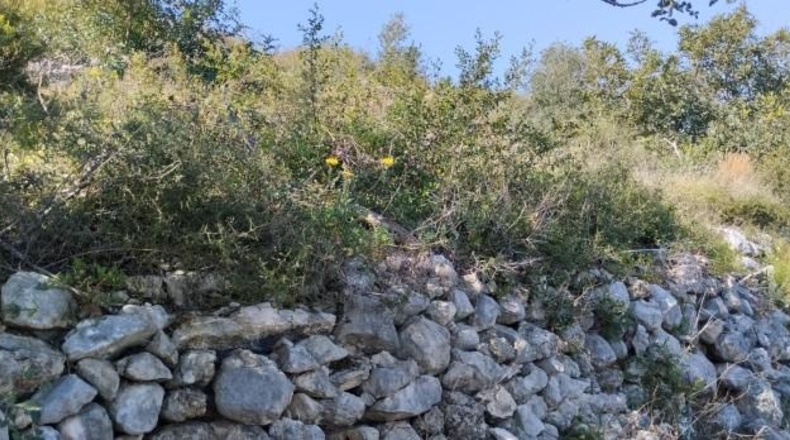 Zamora - Fuentes de Ropel - 15581m2