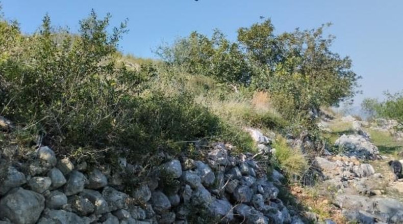 Zamora - Fuentes de Ropel - 15581m2