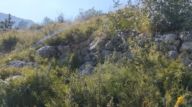Zamora - Fuentes de Ropel - 15581m2