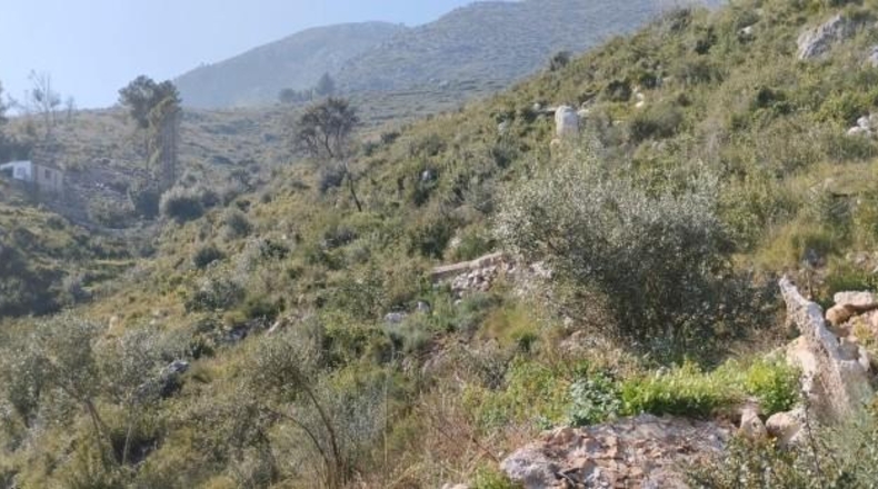 Zamora - Fuentes de Ropel - 15581m2