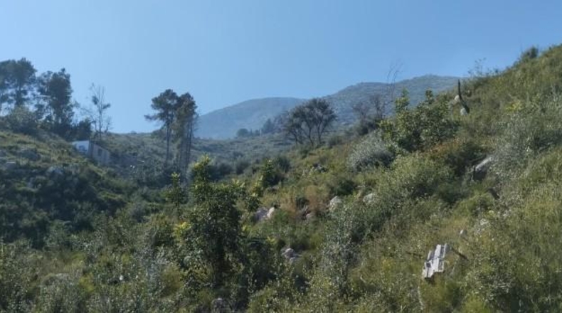 Zamora - Fuentes de Ropel - 15581m2