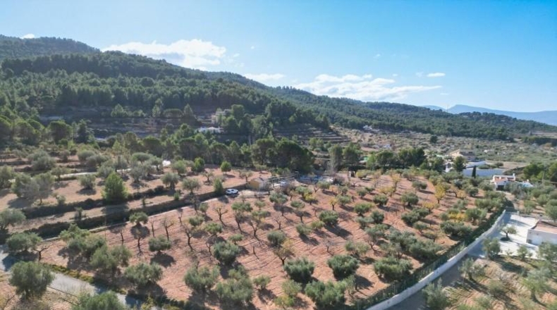 Alicante - Ibi - 10035m2