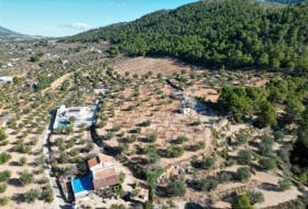 Ibi 10035&nbsp;m²